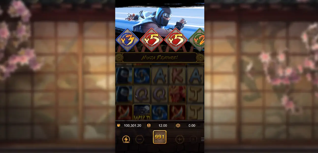 Ninja Feature Background Image