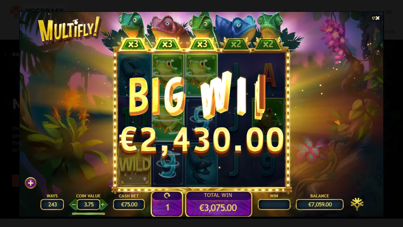 Multifly Big Win Background Image