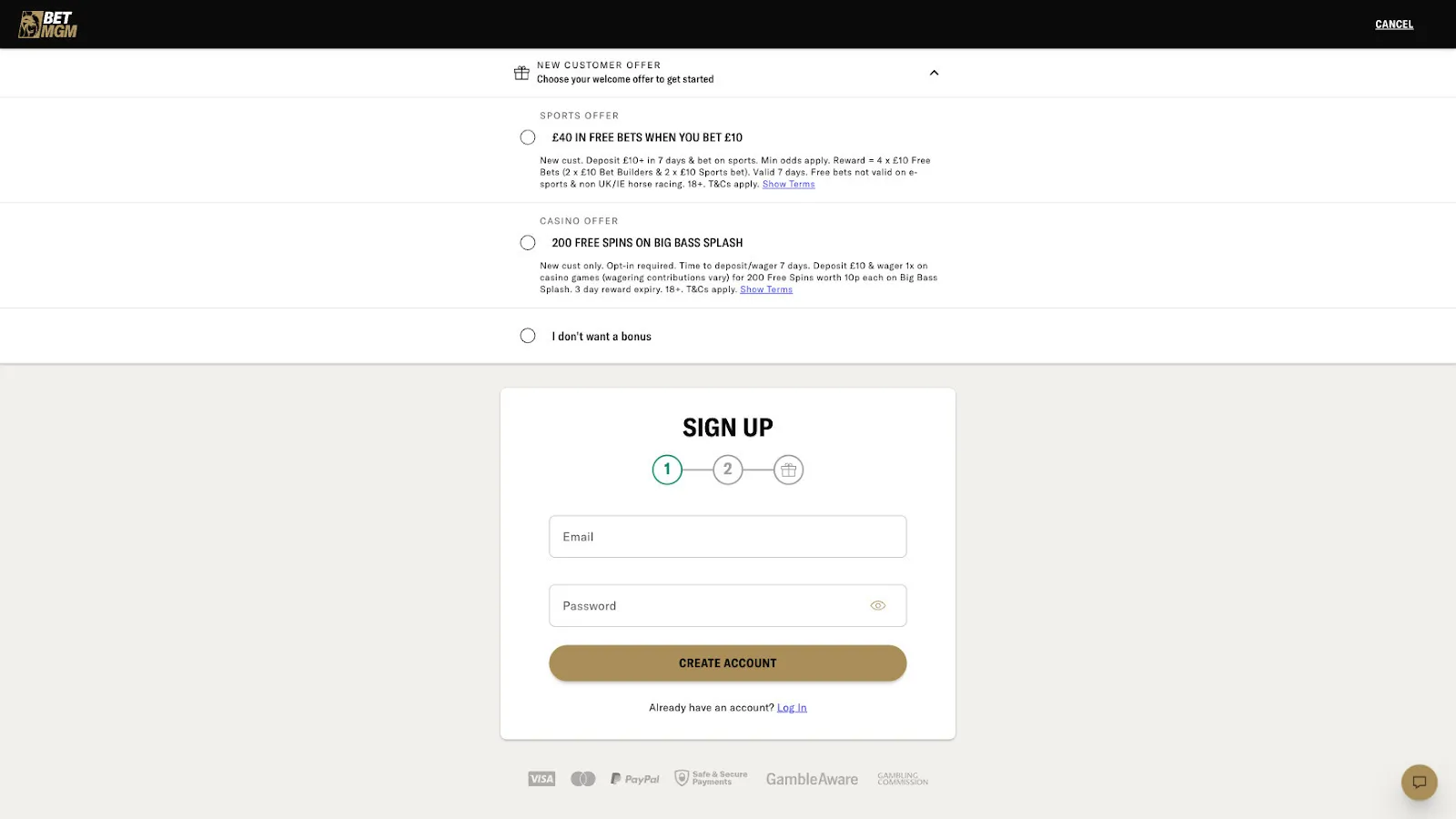 Add Your Email And Create A Password At BetMGM Background Image