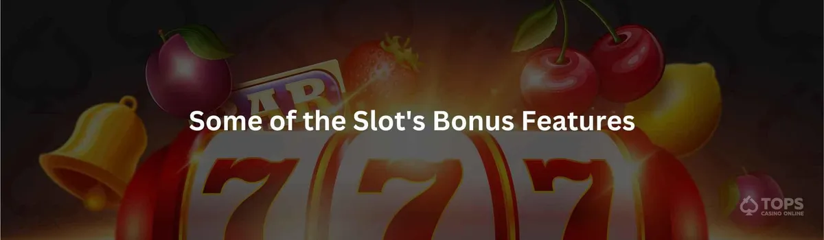 Some of the slot's bonus features