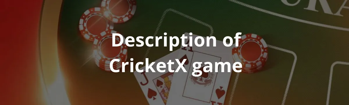 Description of cricketx game