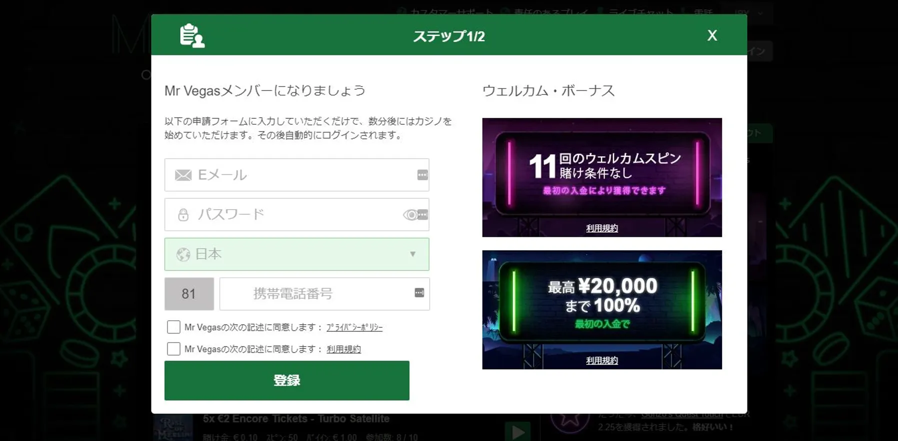 ミスターベガス　登録画面