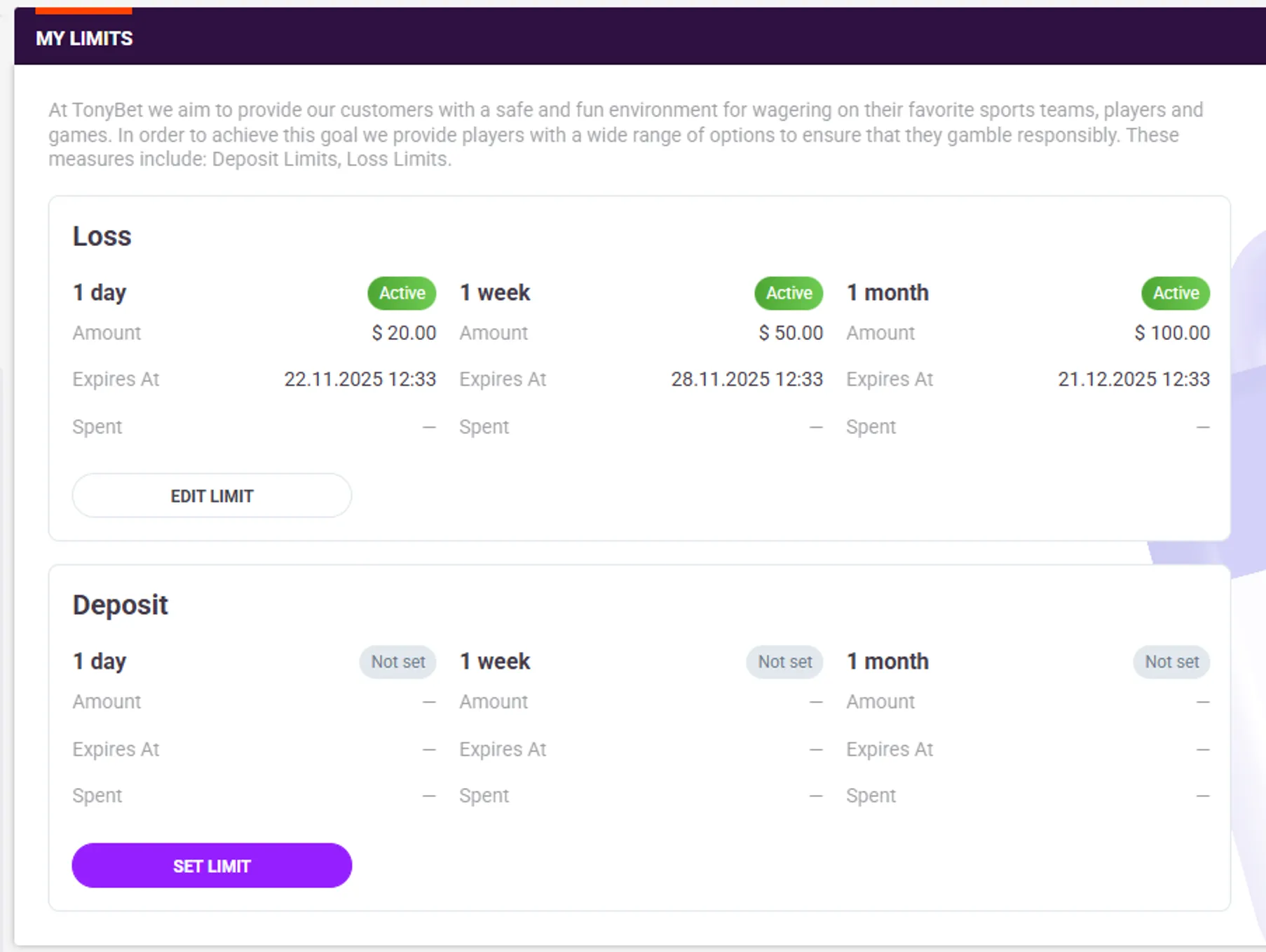 Responsible gambling tools at TonyBet Casino