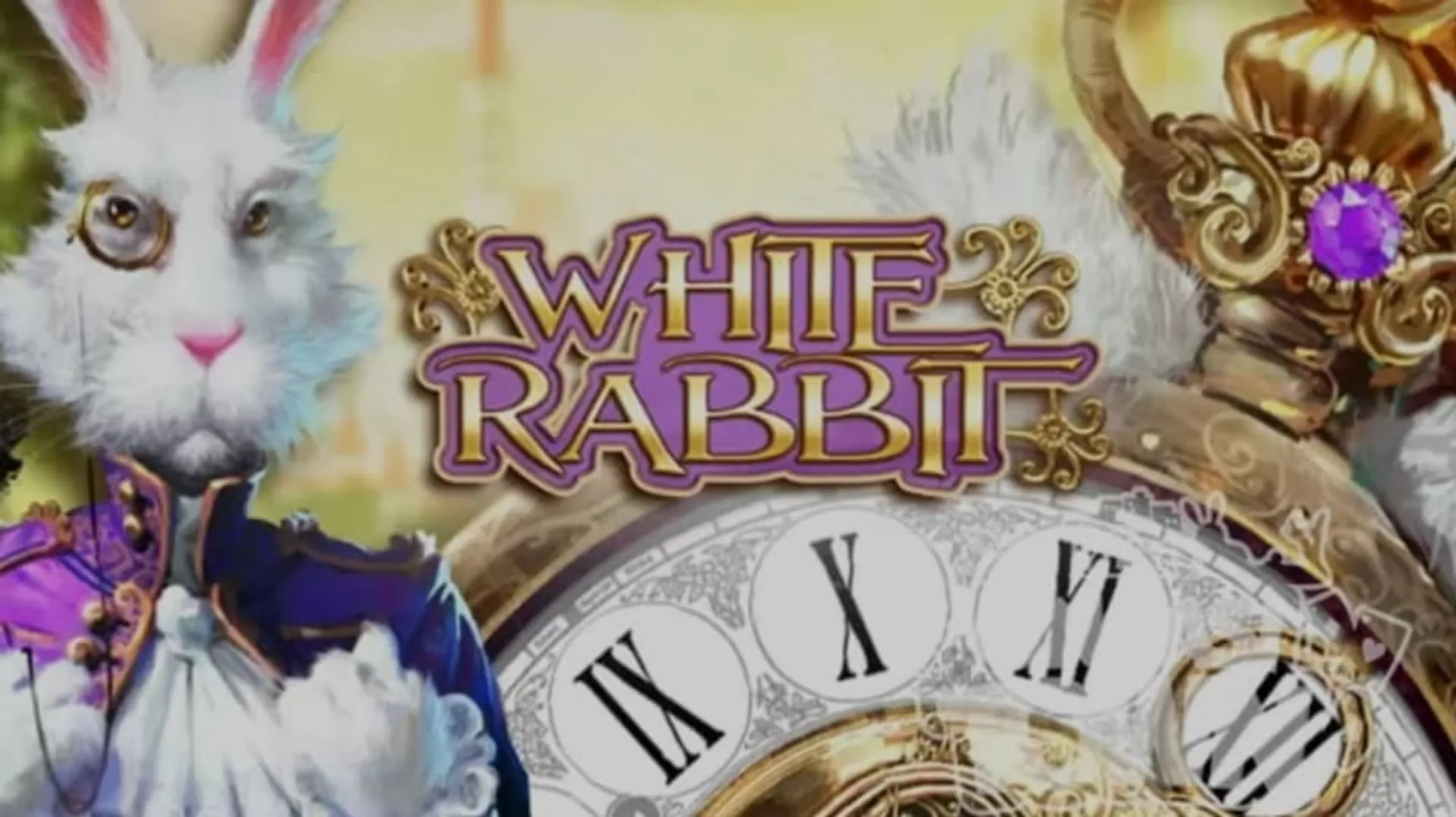 White Rabbit