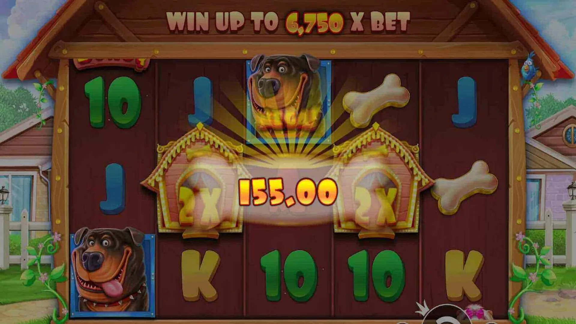 Testing The Dog House slot with a £50 bankroll