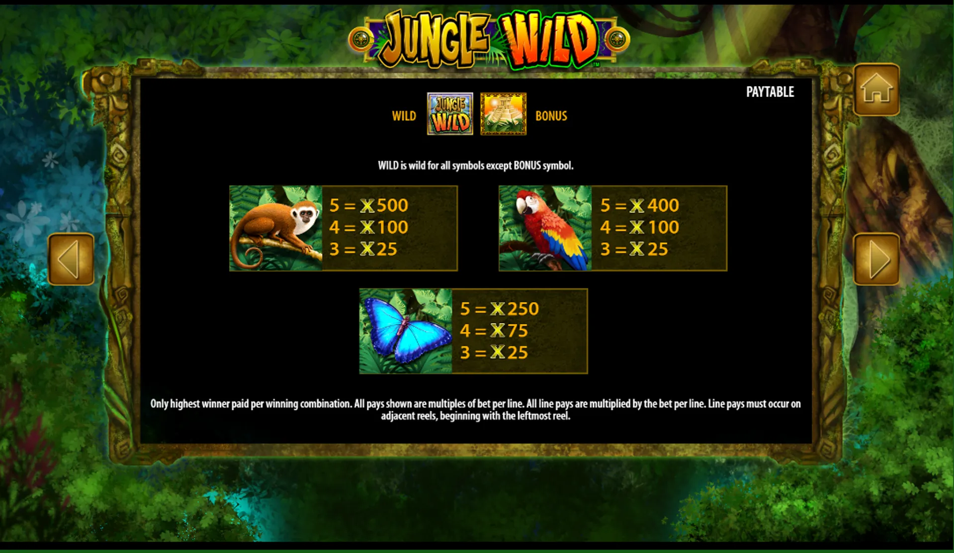 Jungle Wild symbols