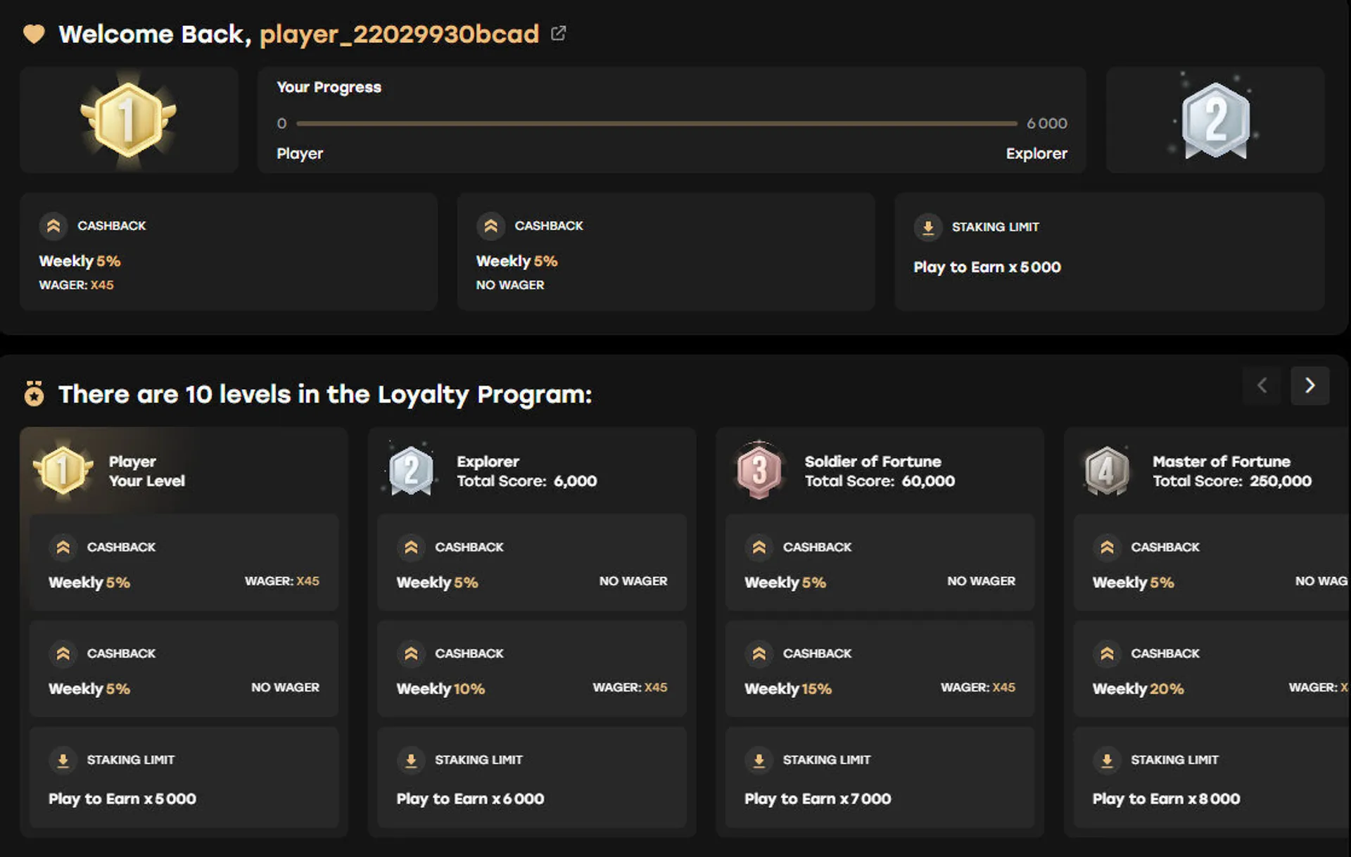 Loyalty program at Fairspin