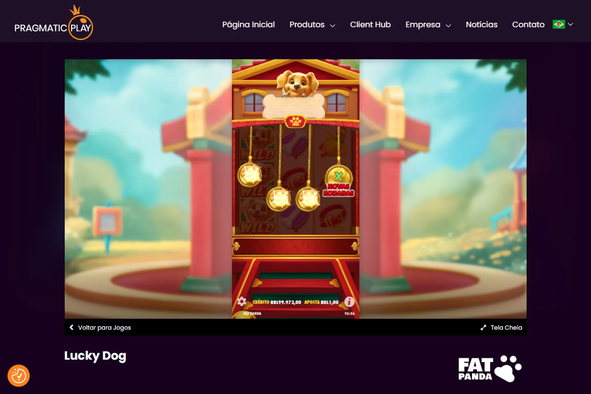moeda dourada com X no Cachorro Sortudo