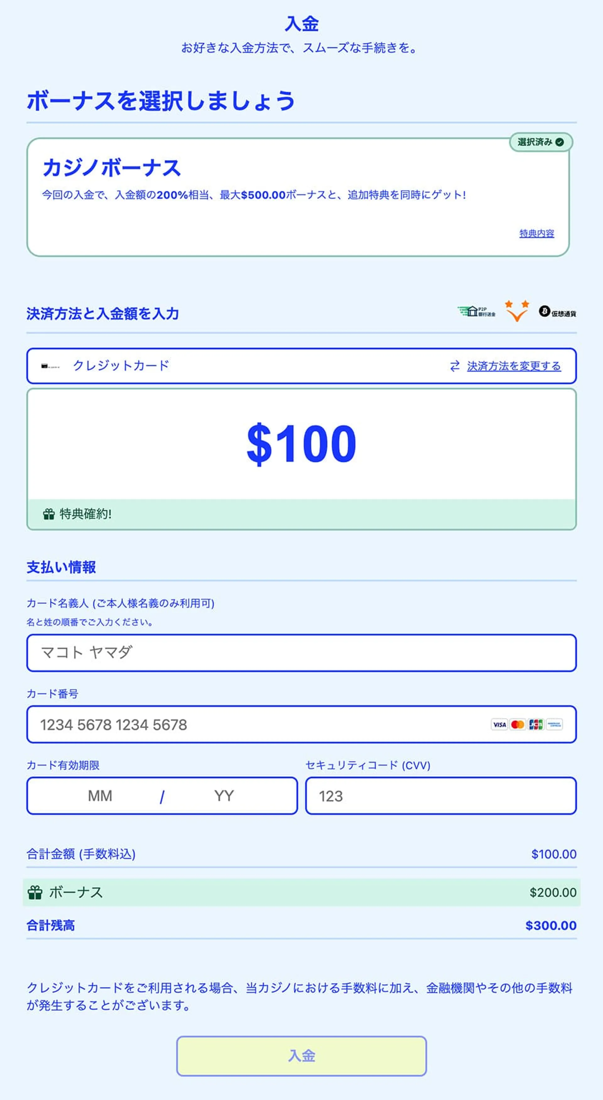 ステップ④：入金額・支払い情報を入力して【入金】