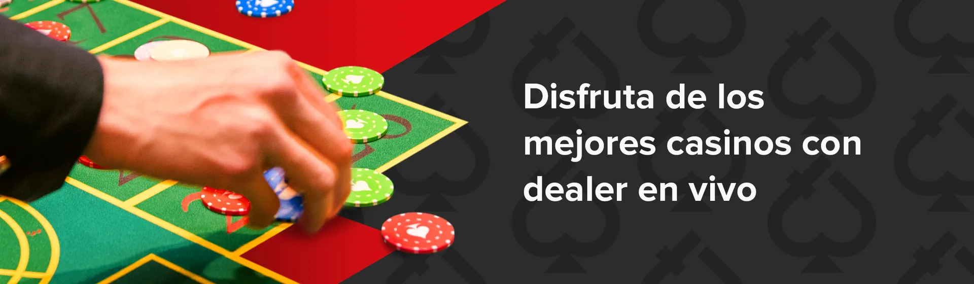 disfruta de los mejores casinos con dealer en vivo