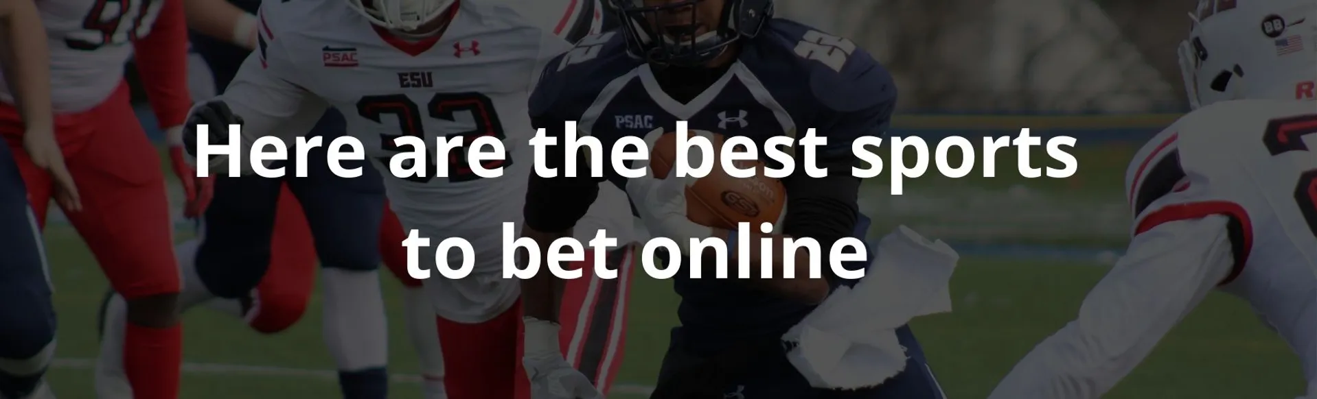 Here are the best sports to bet online