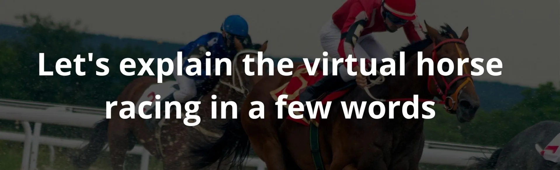 Let's explain the virtual horse racing in a few words