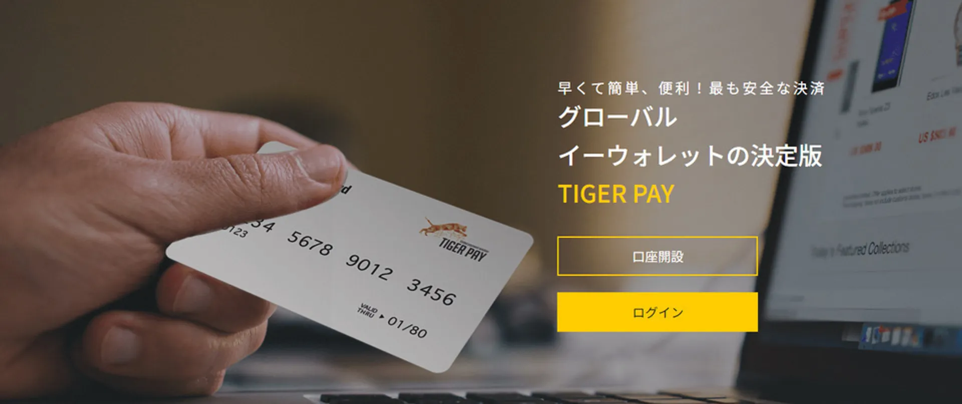 TigerPay