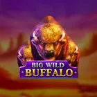 Big Wild Buffalo