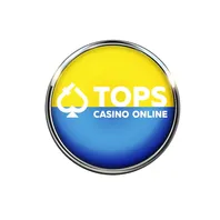 Лого Casinotopsonline Украина