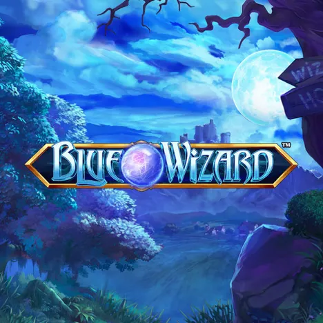 Blue Wizard Image