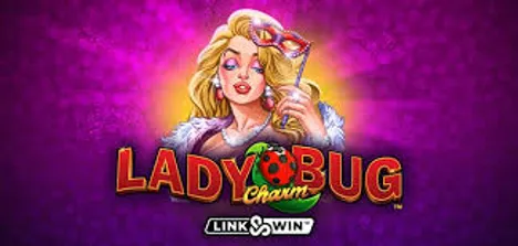 Lady Charm Bug Image