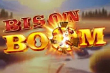 Bison Boom Image