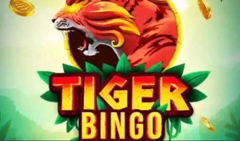 Tiger Bingo Image