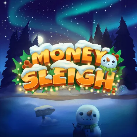 Money Sleigh Image