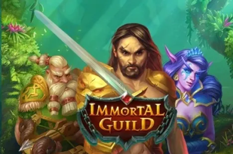 Immortal Guild Image