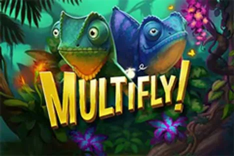 Multifly Image