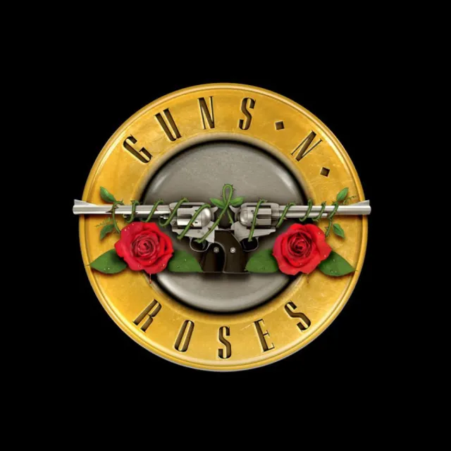 Image for Guns n Roses