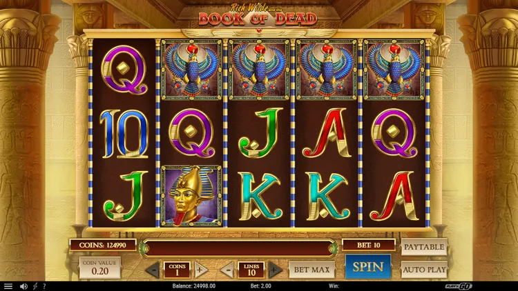 Book of Dead Play' N Go slot