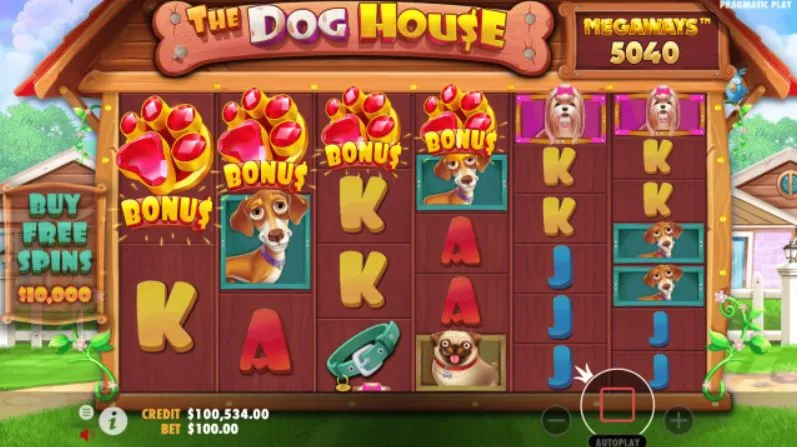 The Dog House Megaways bonus