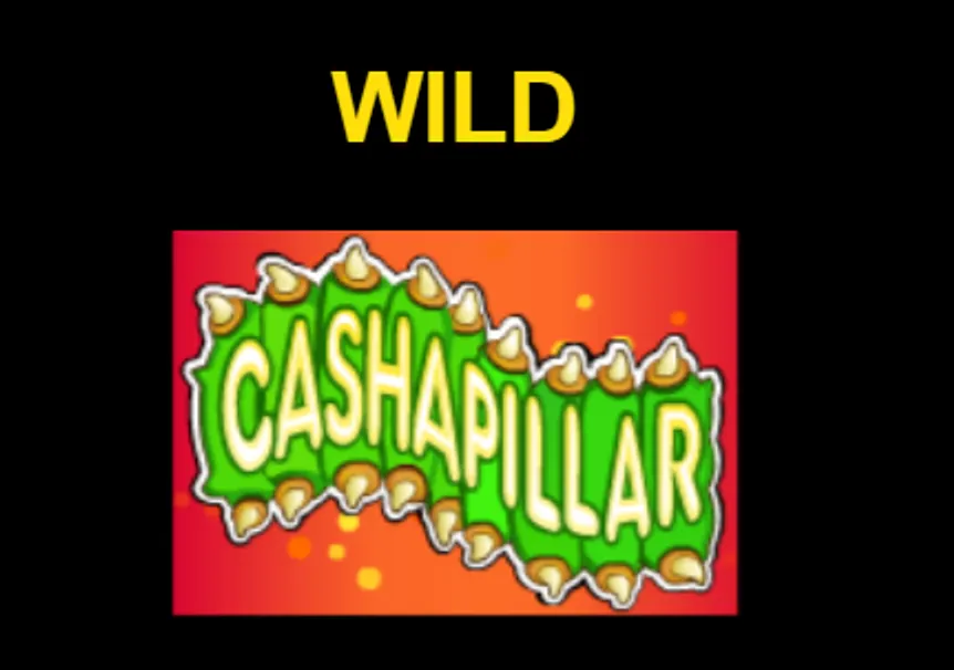 Cashapillar catapillar wild