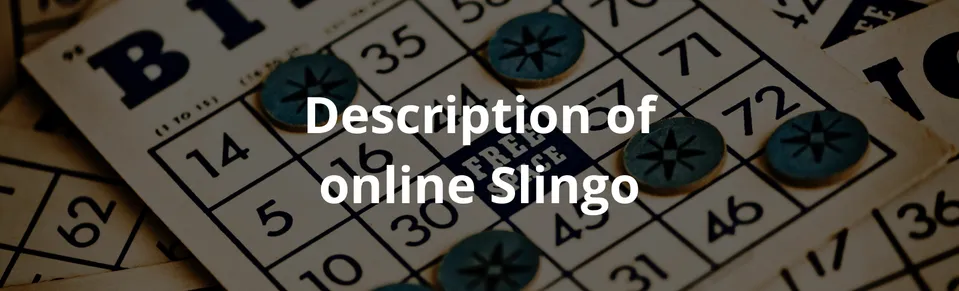 Description of online slingo