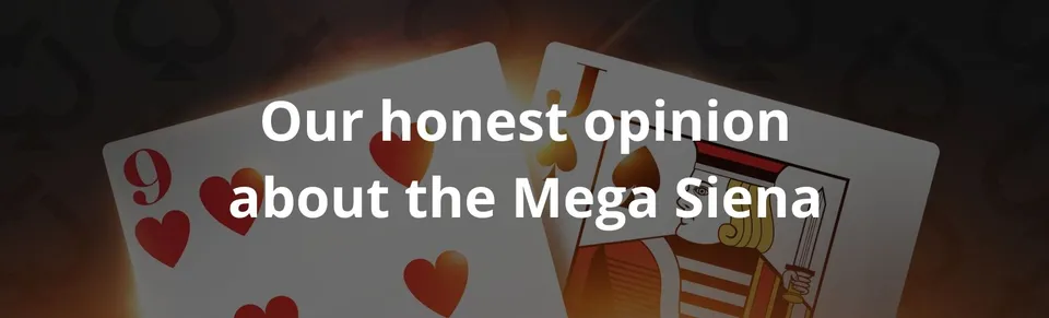 Our honest opinion about the mega siena