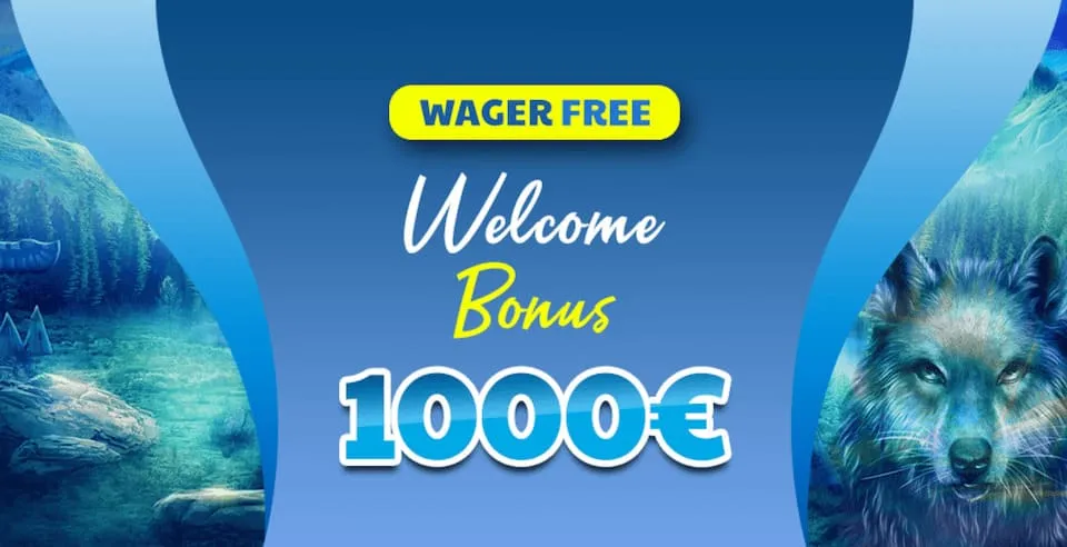 Welcome Bonus in Wolfy Casino