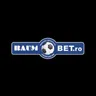 Logo image for Baumbet Casino