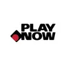 Logo image for PlayNow Casino