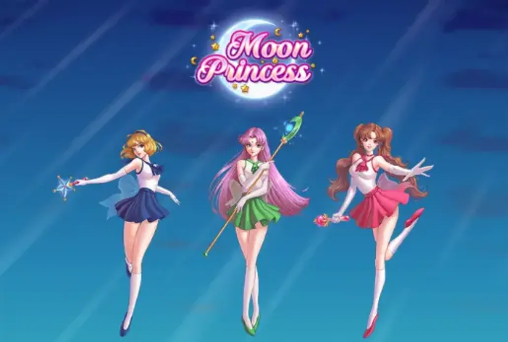 Moon princess banner