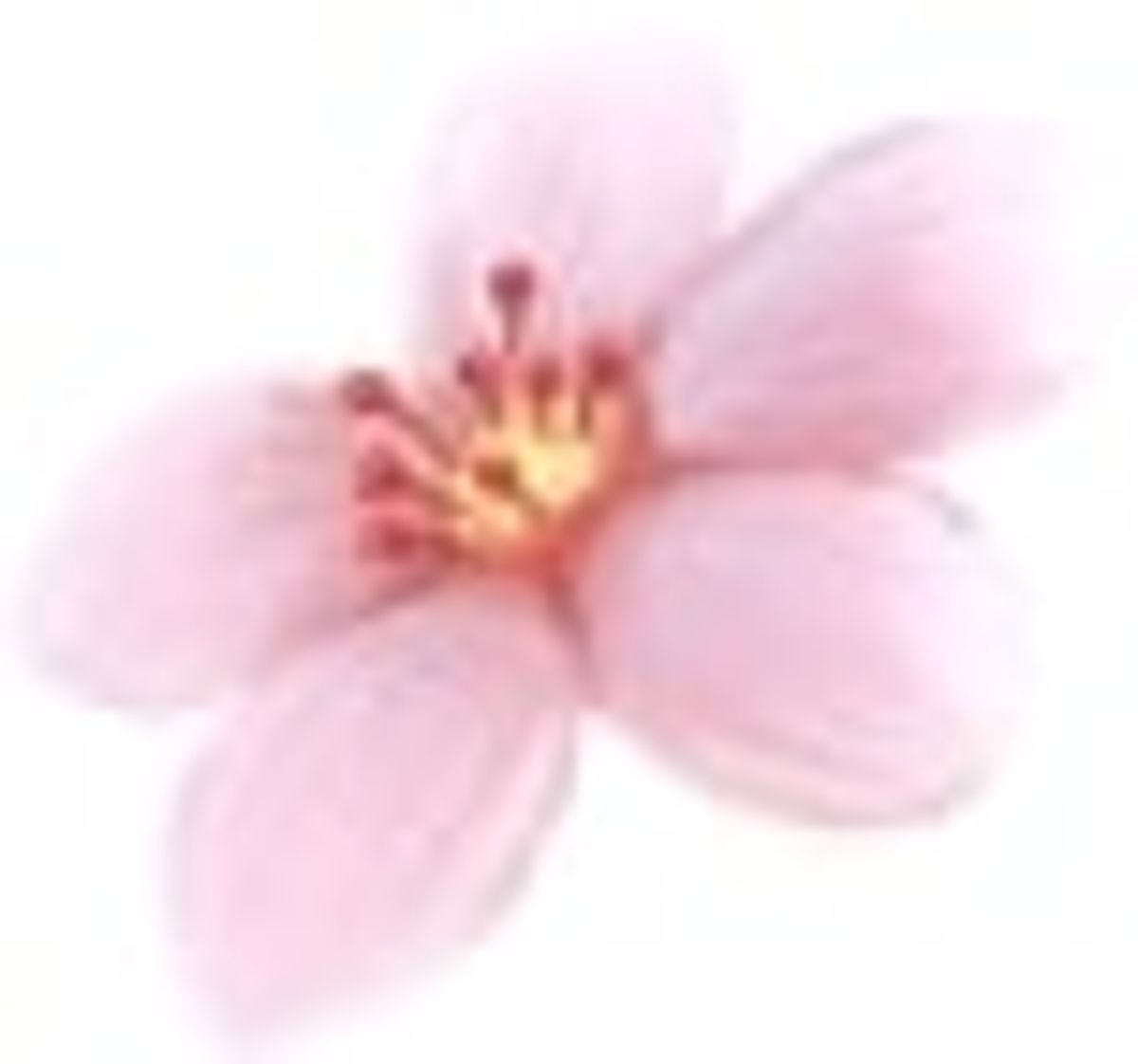 Sakura Fortune Slot