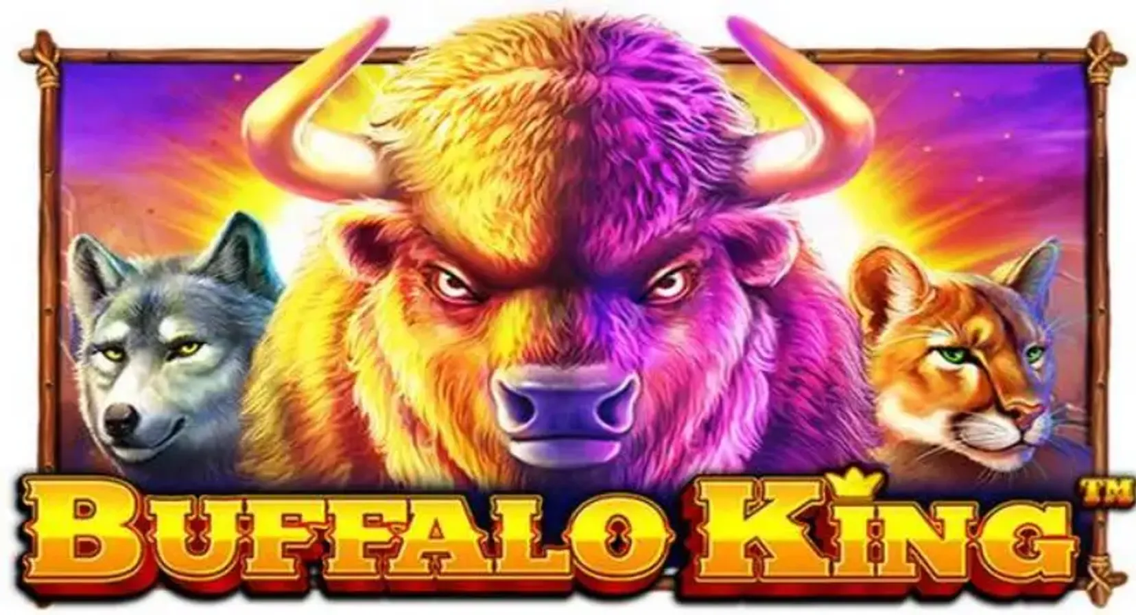 Buffalo king banner