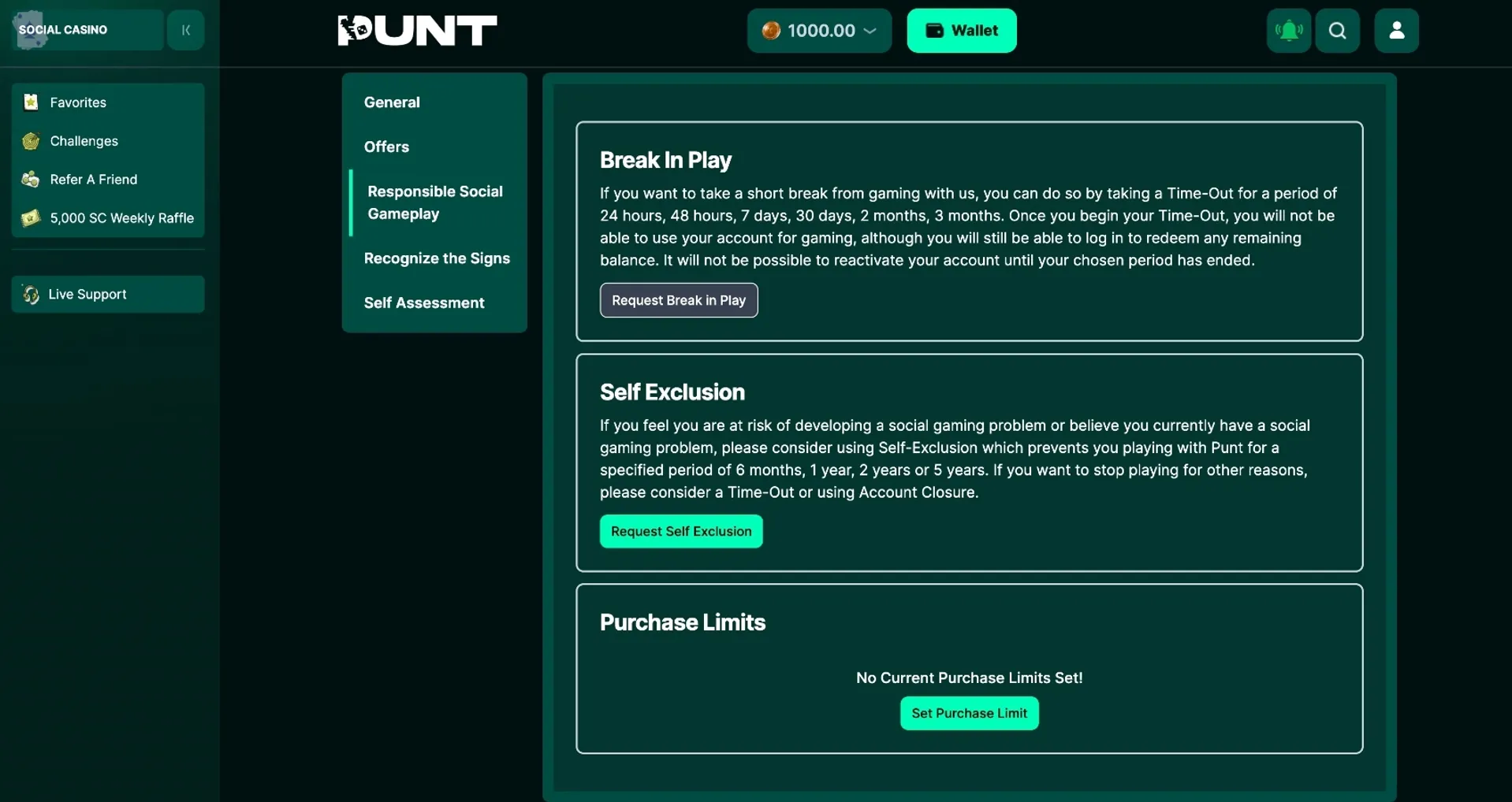 Punt casino responsible gameplay Punt casino responsible gameplay