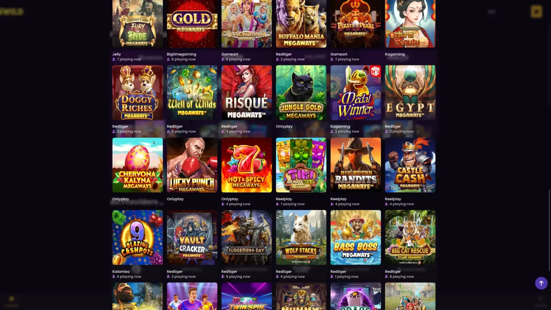 iWild casino large selection of games