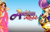 Arabian Rose