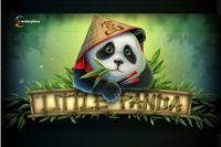 Little Panda