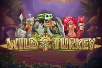 Wild Turkey