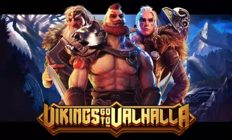 Vikings Go To Valhalla Image