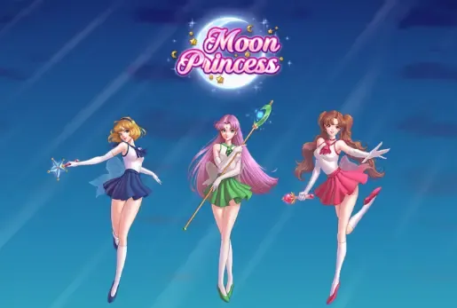 Moon princess banner