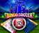 Bingo Soccer Game
