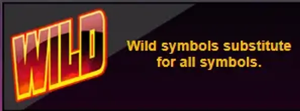 Twin spin wild symbool