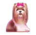 Dog house megaways hondje met roze strik