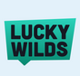 Lucky Wilds Casino kokemuksia
