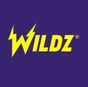 Wildz Casino kokemuksia